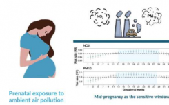 研究发现怀孕期间接触空气污染会增加至少三年的产后抑郁症风险