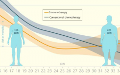 研究发现 BMI 与癌症治疗死亡风险的关系并非如此简单