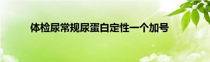 体检尿常规尿蛋白定性一个加号