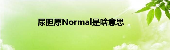 尿胆原Normal是啥意思