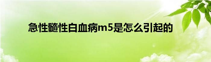 急性髓性白血病m5是怎么引起的