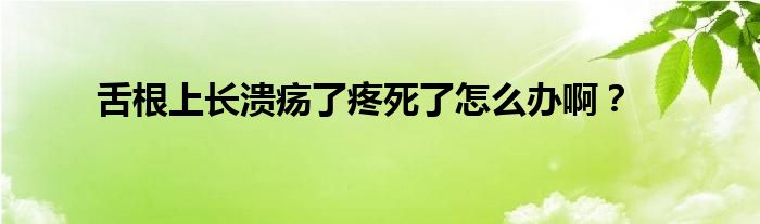 舌根上长溃疡了疼死了怎么办啊？