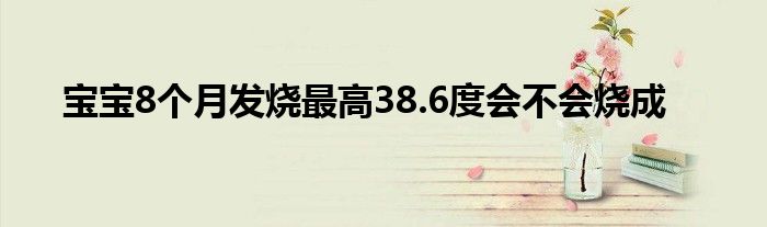 宝宝8个月发烧最高38.6度会不会烧成