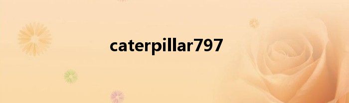 caterpillar797