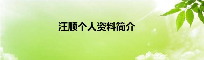 汪顺个人资料简介