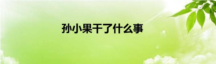 孙小果干了什么事