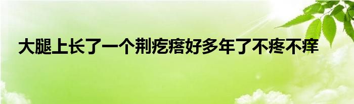 大腿上长了一个荆疙瘩好多年了不疼不痒