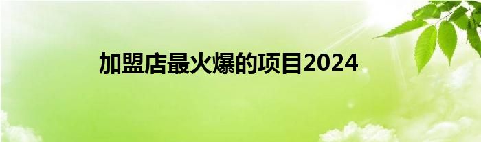 加盟店最火爆的项目2024