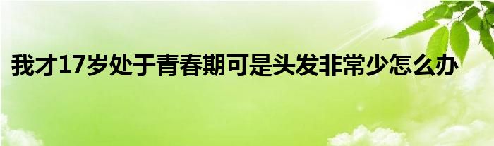 我才17岁处于青春期可是头发非常少怎么办