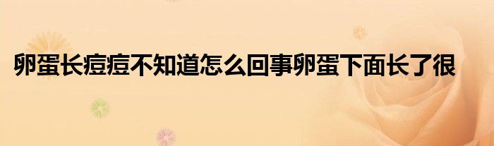 卵蛋长痘痘不知道怎么回事卵蛋下面长了很