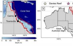研究表明风向是导致大堡礁珊瑚白化的关键因素