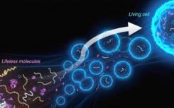 创造简化的生命形式科学家为合成细胞构建模块