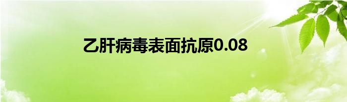 乙肝病毒表面抗原0.08